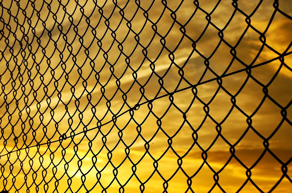 Wizualizacja sieci bezpieczeństwa kwantowego chroniącej dane cyfrowe